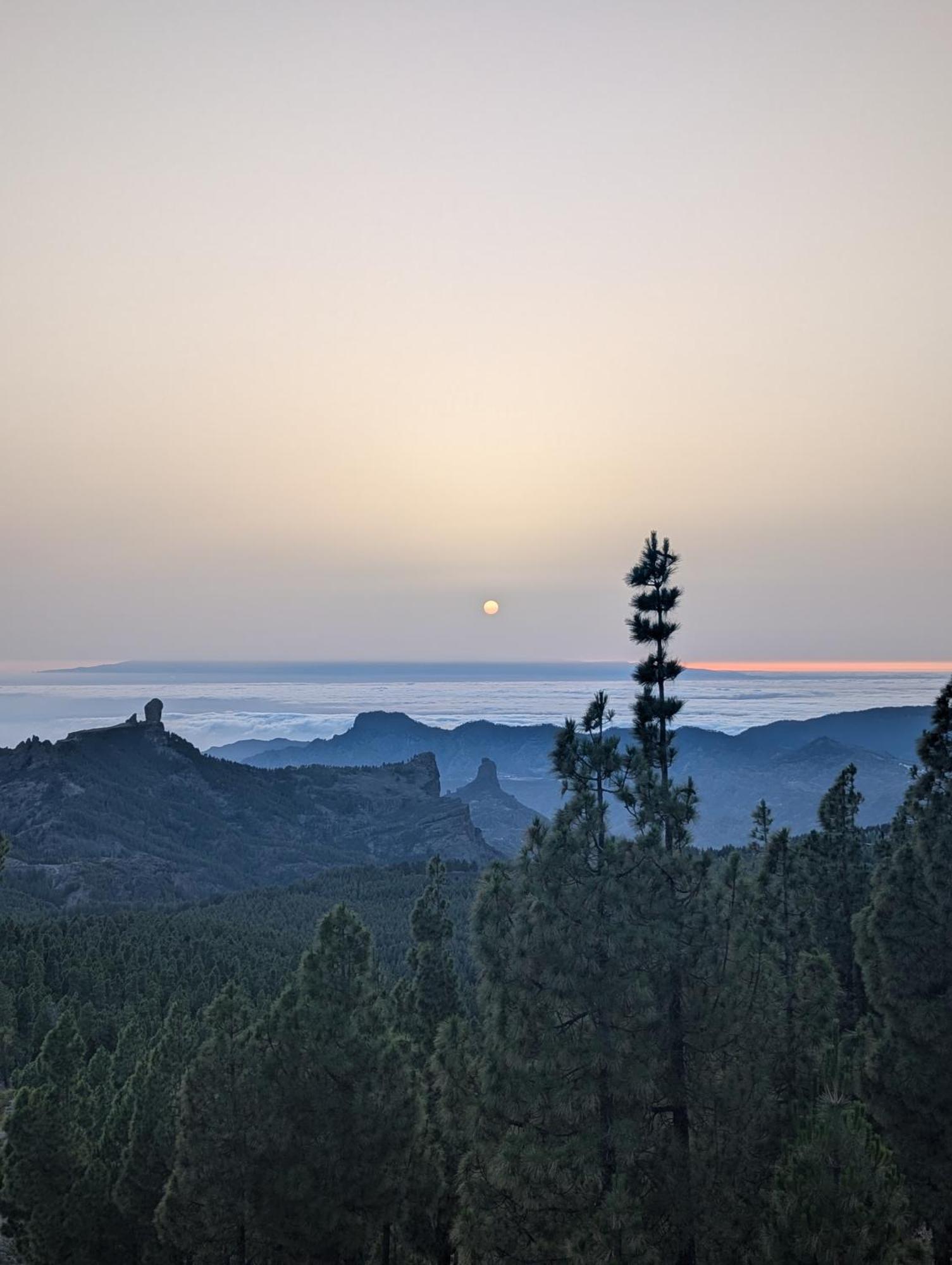 Hostel Tamaran House Las Palmas de Gran Canaria Zewnętrze zdjęcie